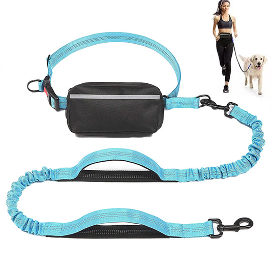 Hands-Free Reflective Bungee Dog Leash - Running & Hiking Essential